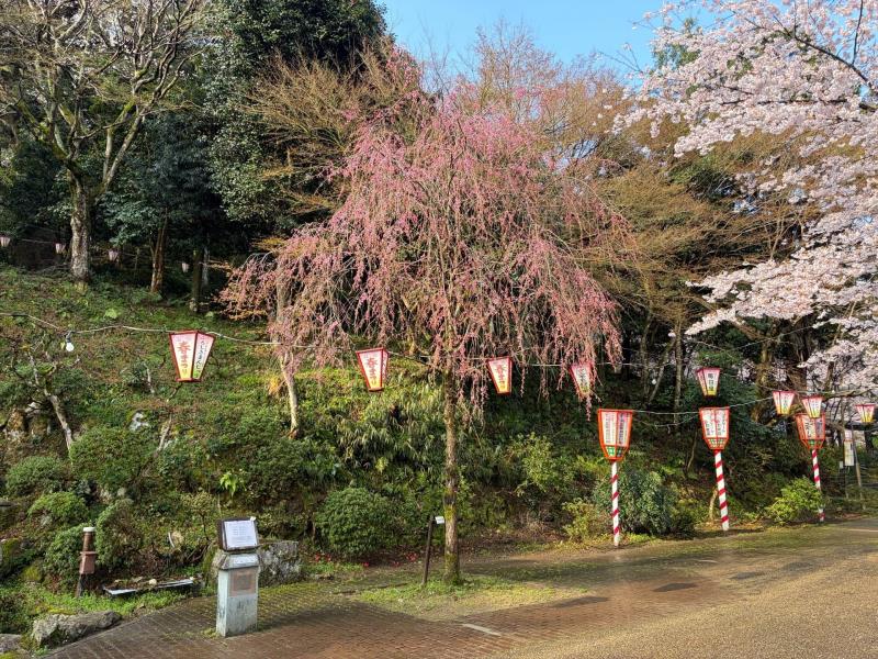 公園内の様子